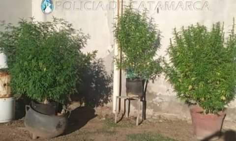 FB_IMG_1644852689899