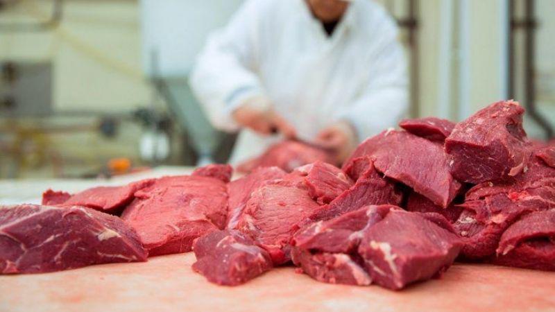 carne e e