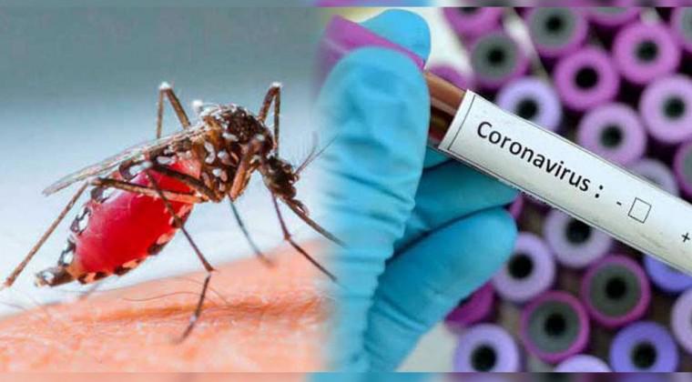 dengue-coronavirus