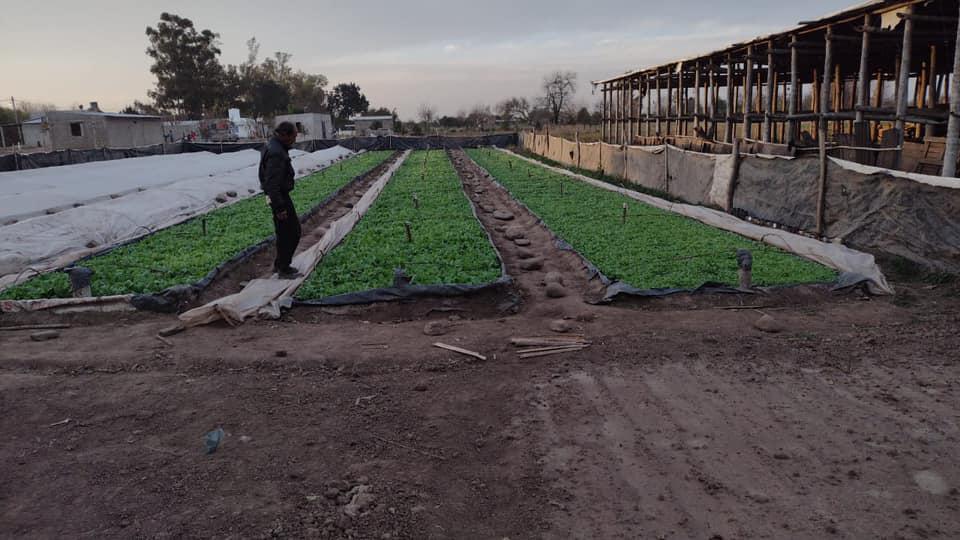 novedades_para_el_sector_tabacalero