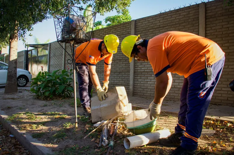 dengue-valle-viejo-noviembre-2024-2jpg (1)