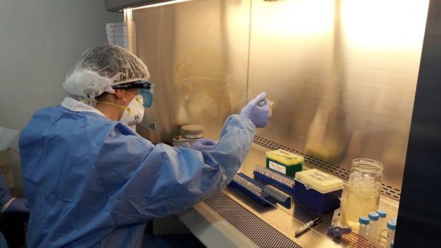 tmb1_pcr-test-mediante-hisopados-confirman-o-descartan-presencia-covid19-foto-ministerio-salud-publica-859909-150102