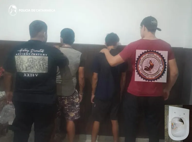 investigaciones-cria-decimajpg