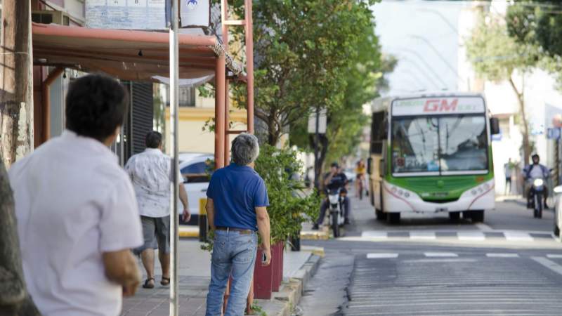 Colectivo Transporte