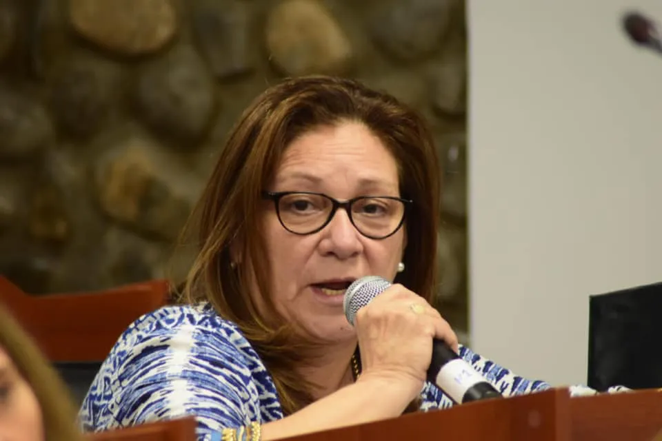 dip-fernandez