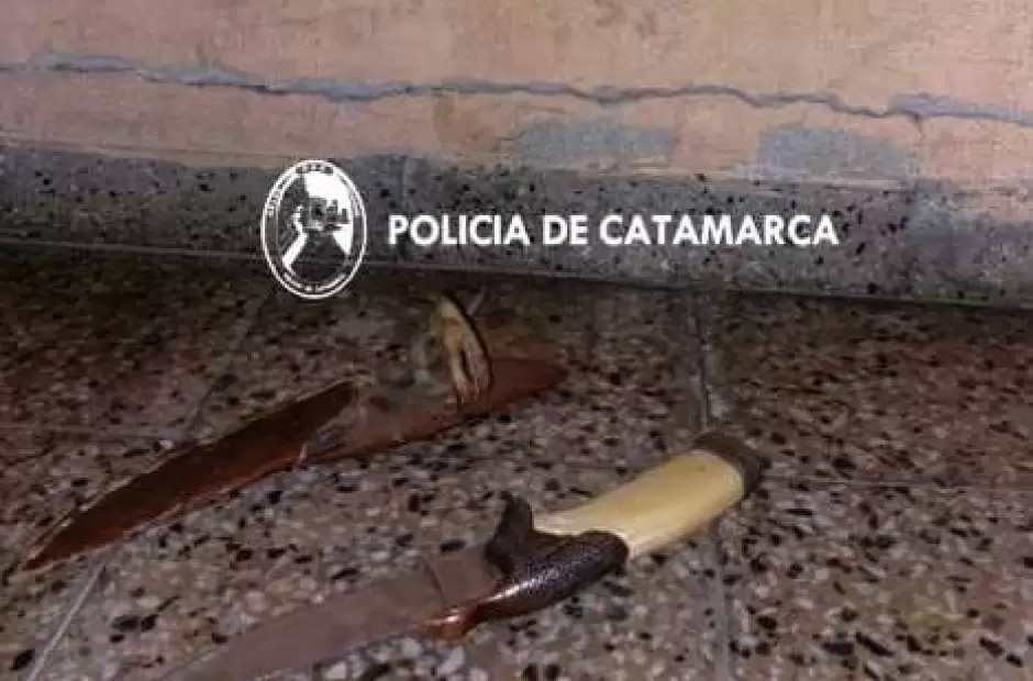 Aprehenden a un hombre por violencia de género y secuestran un arma blanca en Santa Rosa